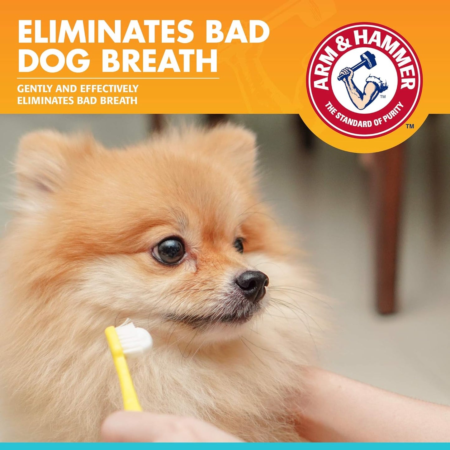 Arm & Hammer for Pets Clinical Care Dental Enzymatic Toothpaste for Dogs Soothes Inflamed Gums Safe for Puppies 1 Pack Fresh Breath Vanilla Ginger (Pack of 1)