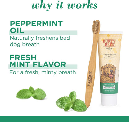 Burt's Bees for Pets Naturally Derived Oral Care Kit - Dog Dental Kit with Toothpaste & Bamboo Toothbrush - Dog Toothbrush and Toothpaste with Honeysuckle & Peppermint Oil, Fresh Mint Flavor (2.5 oz)