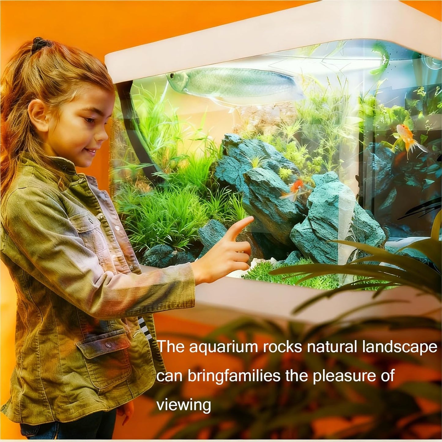 Aquarium Rocks Seiryu Stone Natural Hardscape Stone for DIY Aquariums, Fish Tanks, Bonsai, Terrariums, Paludarium Amphibian Enclosures (10Lb (3-8 inch), Seiryu Stone)