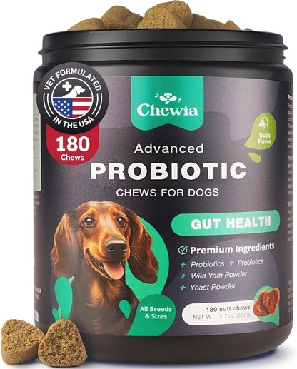 Dog Probiotic Chews with Digestive Enzymes - Probiotics for Dogs, Yeast Powder, Gut Health, Digestion, Immunity, Yeast Balance, Allergies Support - Gut Flora - All Breeds Canine Soft Chews