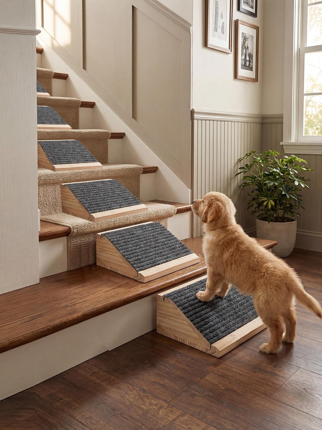 Dog Ramp for Stairs, Non-Slip Dog Stairs, Low-Angled Pet Ramps for Small Dogs and Cats, Medium Dogs, Step and Stair Assist for Injured and Older Pets, 2 Pack