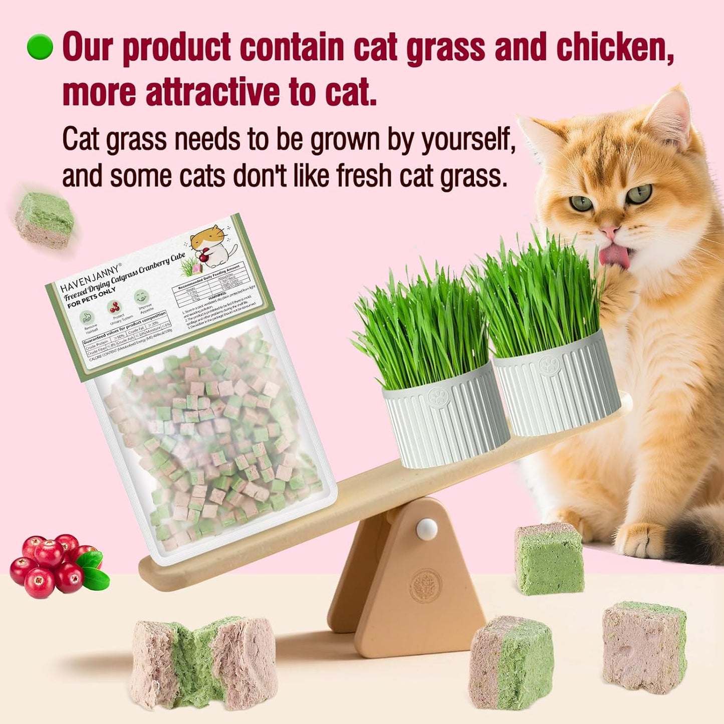 HavenJanny Freezed-Dried Cat Grass Treats, Catgrass Cranberry Duo Bites, Cat Dental Treats for Hairball Control and Urinary Tract Support, Cats Teething Stick (60g, Cranberry)