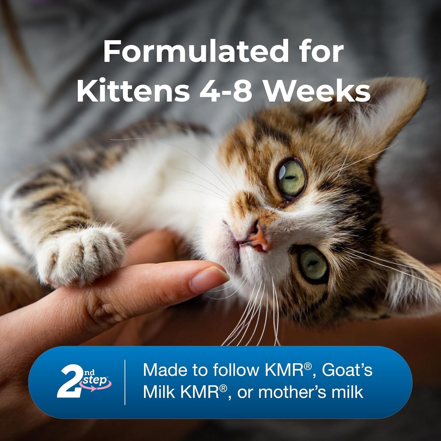 PetAg KMR Kitten Milk Replacer Powder (6 oz) + PetAg KMR 2nd Step Kitten Weaning Food (14 oz)