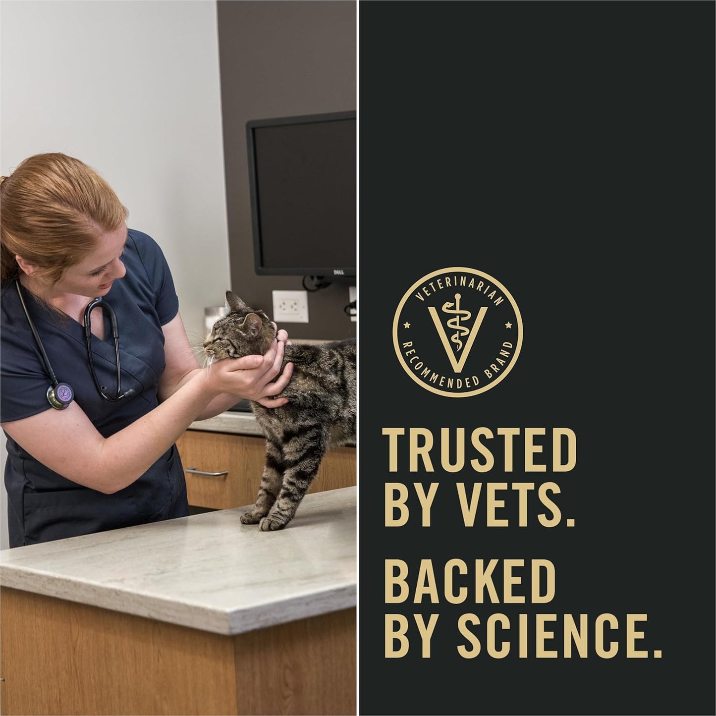 Purina Pro Plan LiveClear Senior Cat Food 7+ Cat Allergen Reducer Prime Plus Chicken and Rice Formula - 5.5 lb. Bag