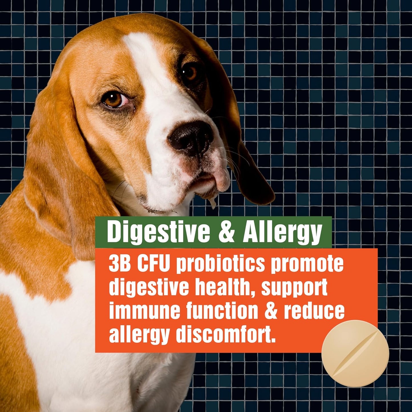 Army Soldier Owned Dog Probiotics for Yeast, Itchy Skin & Itchy Ears, Dog Allergy Relief, Digestive Health, Occasional Diarrhea & Immune Support, 3 Billion CFU, 60 Yummy Chewables