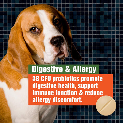 Army Soldier Owned Dog Probiotics for Yeast, Itchy Skin & Itchy Ears, Dog Allergy Relief, Digestive Health, Occasional Diarrhea & Immune Support, 3 Billion CFU, 60 Yummy Chewables