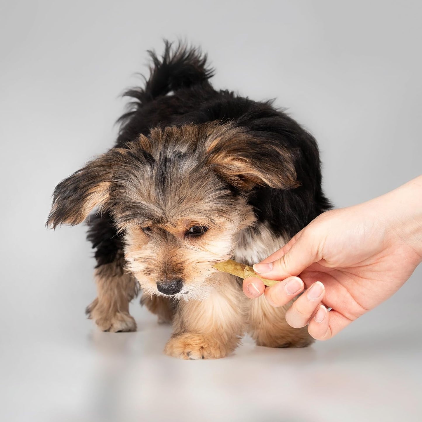 Fieldcrest Farms Nothin' to Hide Twist Stix, Beef Flavor, Easily Digestible, Supports Skin, Coat, Joints & Muscles, for Moderate Chewers Under 15lbs, 50 Pieces