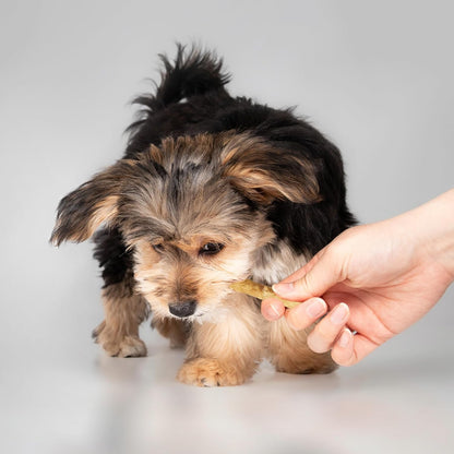 Fieldcrest Farms Nothin' to Hide Twist Stix, Beef Flavor, Easily Digestible, Supports Skin, Coat, Joints & Muscles, for Moderate Chewers Under 15lbs, 50 Pieces