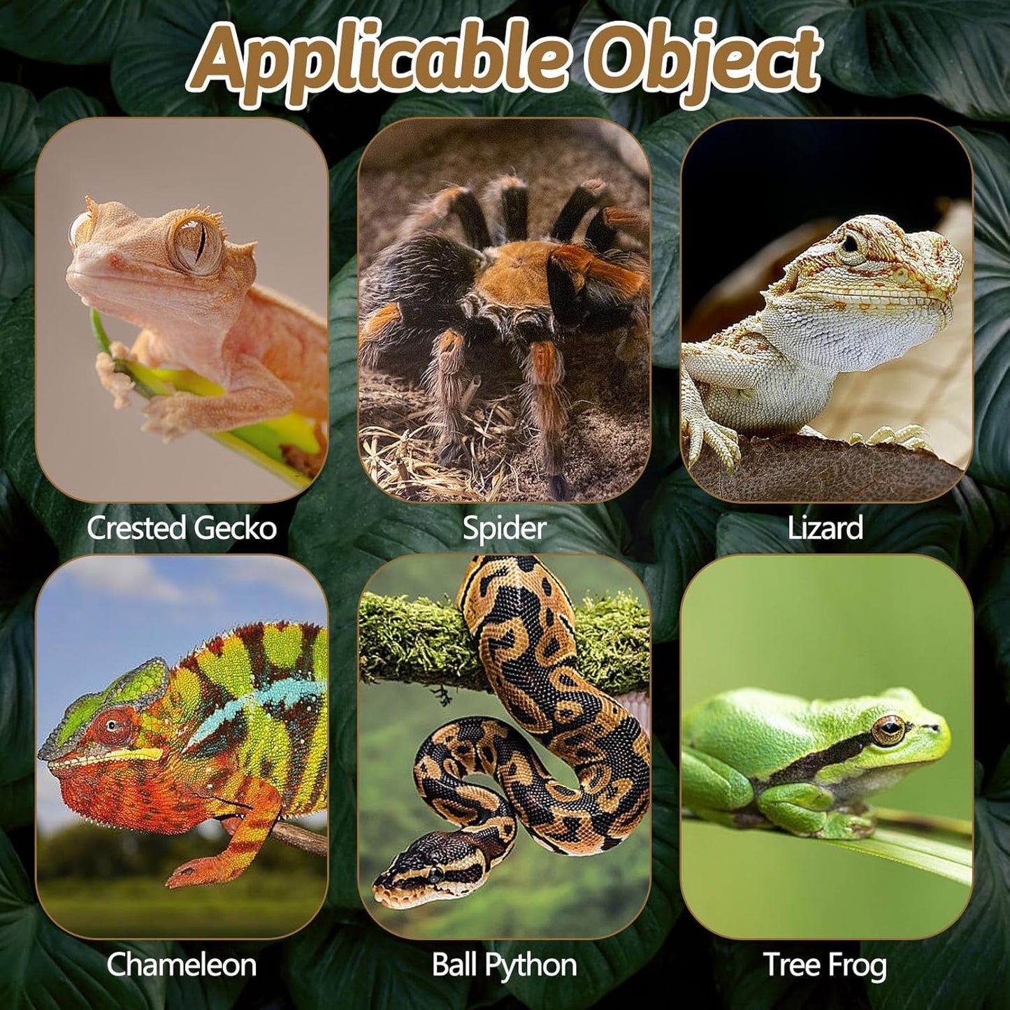 BNOSDM Reptile Cork Bark Substrate 32oz Lizard Bedding for Habitat Natural Flat Cork Wood Bulk Terrarium Reusable Bark Pieces for Chameleon, Ball Python, Crested Gecko, Spider, Tortoise, Tree Frog