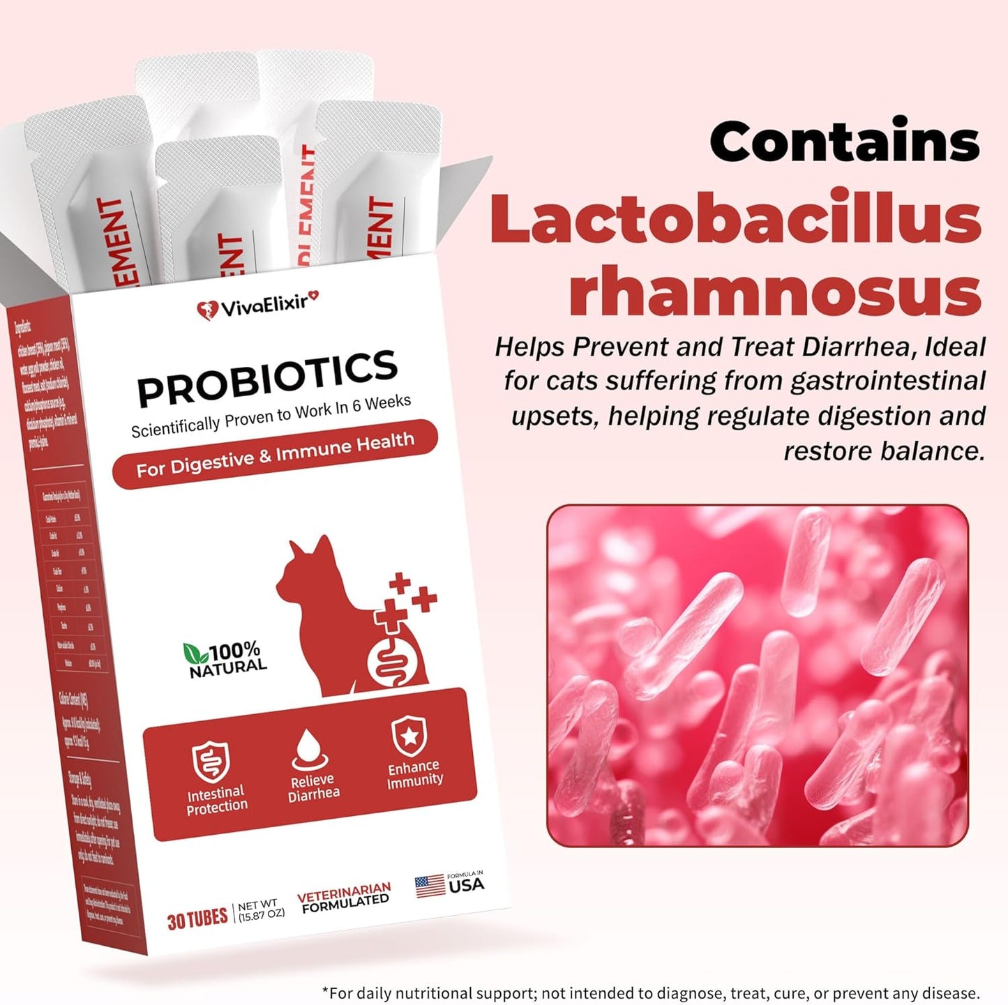Probiotic Cat Bars for Cats | 8 Highly Active Probiotics + Prebiotics | Gastrointestinal Health | Chicken Flavor | Easy to Digest | Stool Fighter (12g x 30 Bars)