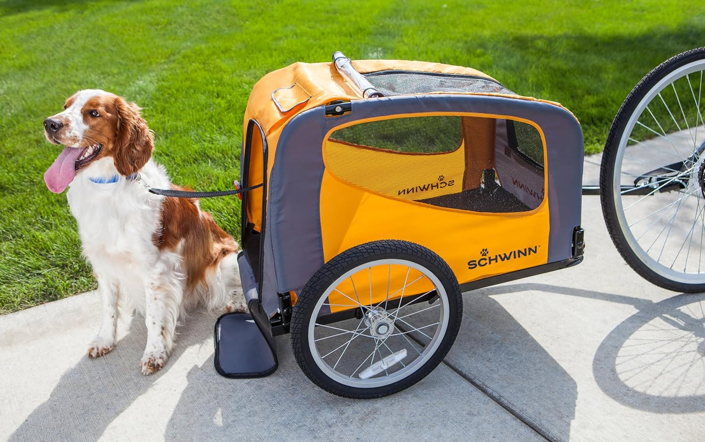 Schwinn Rascal Pet Trailer, Holds Pets Up to 50 or 100 lb, Universal Coupler, Folding Frame, Quick-Release Wheels, Rear Doggy Door, Leash, Washable Liner, Bug Screen, Schwinn Bike Trailer for Pets