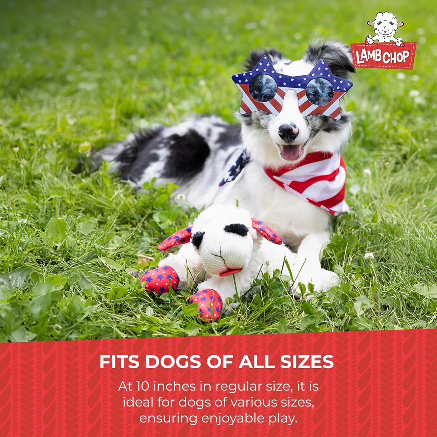 Multipet Mini Lamb Chop Officially Licensed, Plush, Squeak Pet Toy (White, 10')