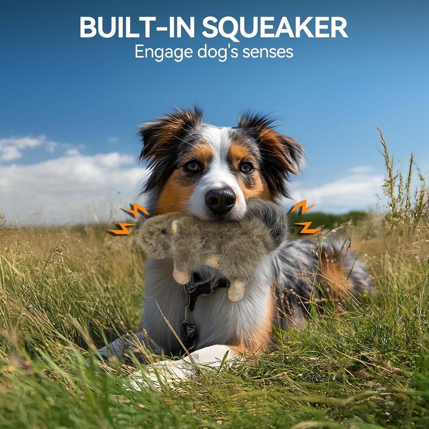 ALL FOR PAWS Classic Squirrel Pet Toys, Small and Orel Rabbit Squeaky Doy Toy Bundle