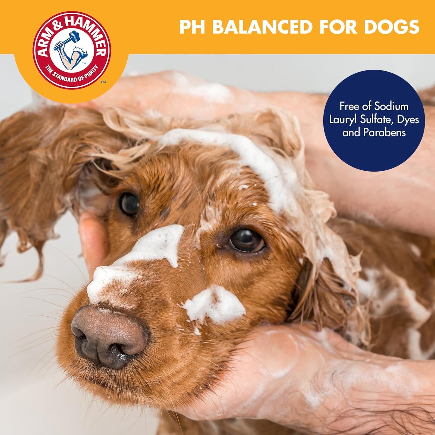 Arm & Hammer for Pets 2-in-1 Shampoo & Conditioner for Dogs, Value Size Bottle with Pump | Dog Shampoo & Conditioner in One | Cucumber Mint, 24 Ounce Bottle Dog Shampoo and Conditioner for All Dogs