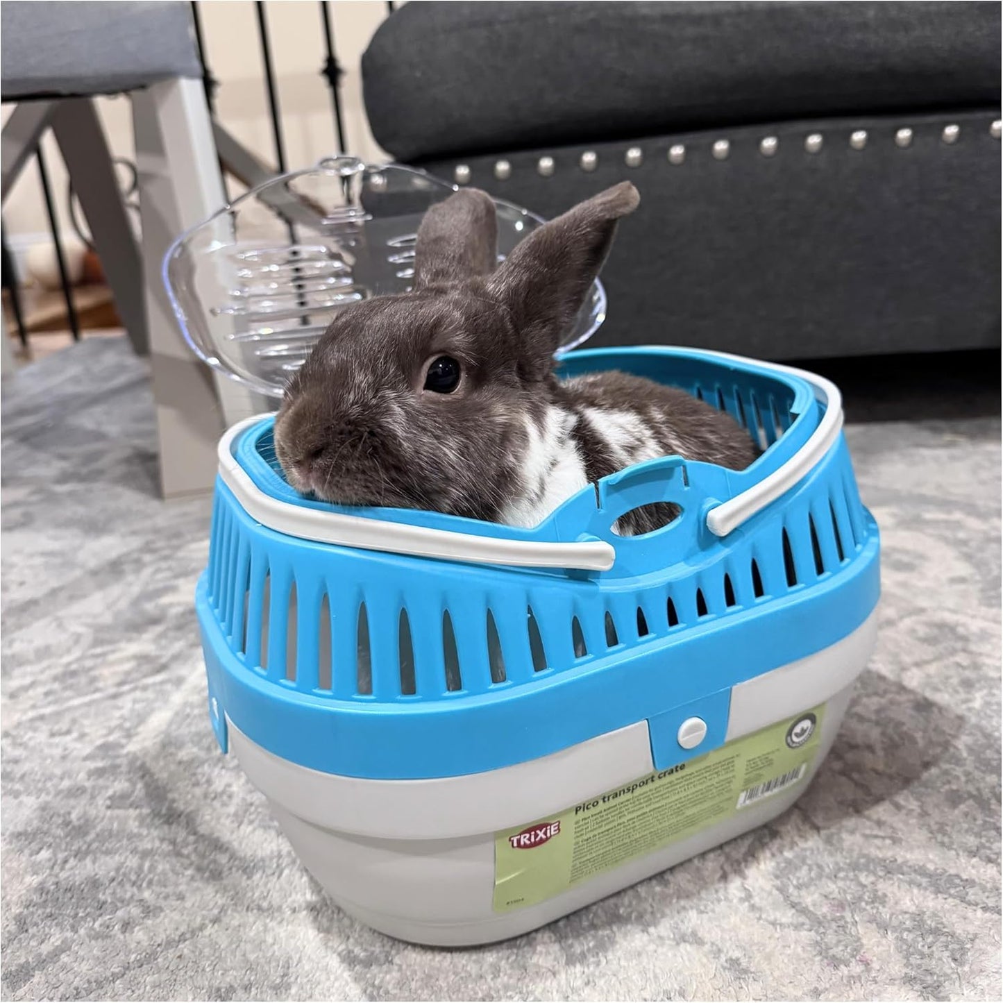 Trixie Pico Transport Crate, Small Pet Carrier, Portable Travel Carrier, for Small Pets, Hamsters, Guinea Pig, Lizards