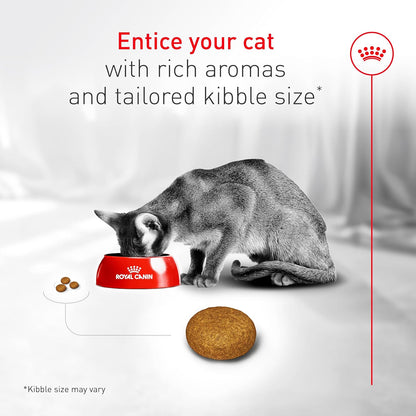 Royal Canin Fussy Dry Cat Food for Adult Cats, Protein-Rich Kibbles for Picky Eaters, Poultry-Based, Supports Healthy Weight and Urinary Health, 7 lb Bag