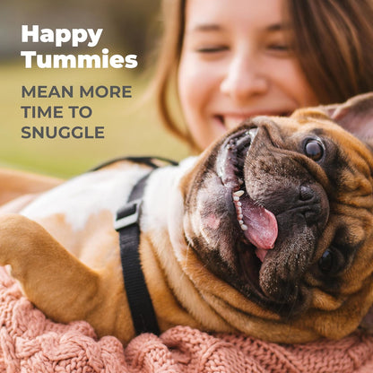 Vetnique Glandex Daily Probiotics for Dogs with Prebiotics to Support Gut Health with Fiber and Digestive Enzymes, Probiotic Chews or Powders (60ct Chews, Bacon Chews)