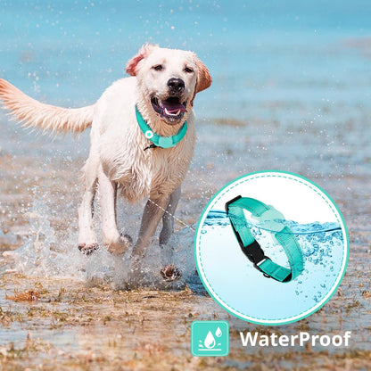 Airtag Dog Collar with Air Tag Holder, Adjustable Reflective Pet Collar with Soft Padding,Durable Nylon Collar for Tiny Small Medium Dogs, Easy Install Design (Turquoise Blue,S)