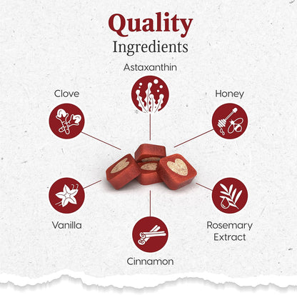 ARK Naturals Protection Plus Brushless Toothpaste for Mini Breeds, 4 oz Bag, Dog Dental Chew with Toothpaste Center, Prevents Plaque & Tartar, Freshens Breath