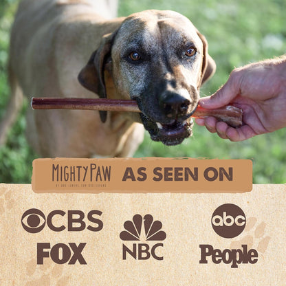 Mighty Paw Long Lasting 12" Bully Sticks for Dogs - All Natural Grass Fed Beef Chews. Lower Odor Dog Bully Sticks for Large Dogs, Medium and Small Breeds. Single Ingredient Treats