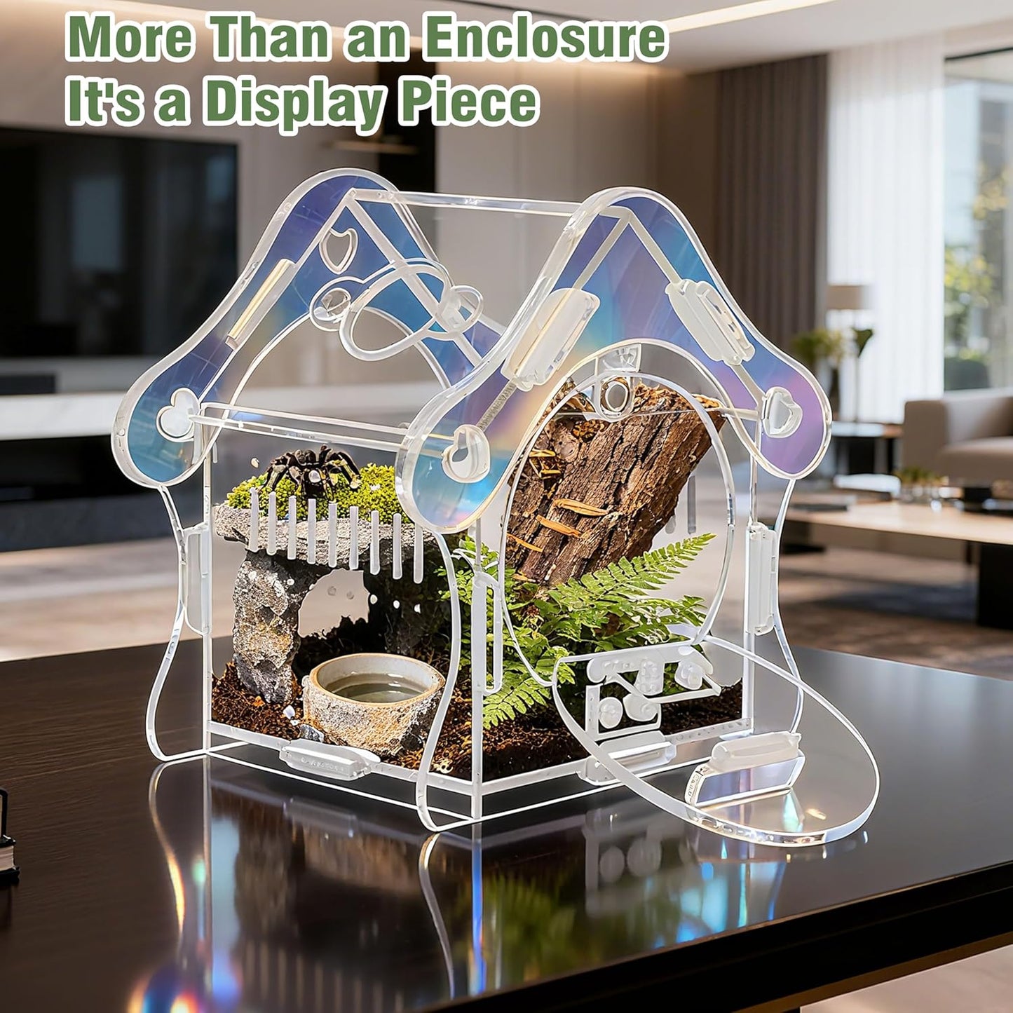 Magnetic Acrylic Jumping Spider Enclosure with Mushroom House, Easy-Feed Hole & Front Opening – Terrarium for Tarantula, Mantis, Beetle, Gecko, Hermit Crab, Reptile Habitat