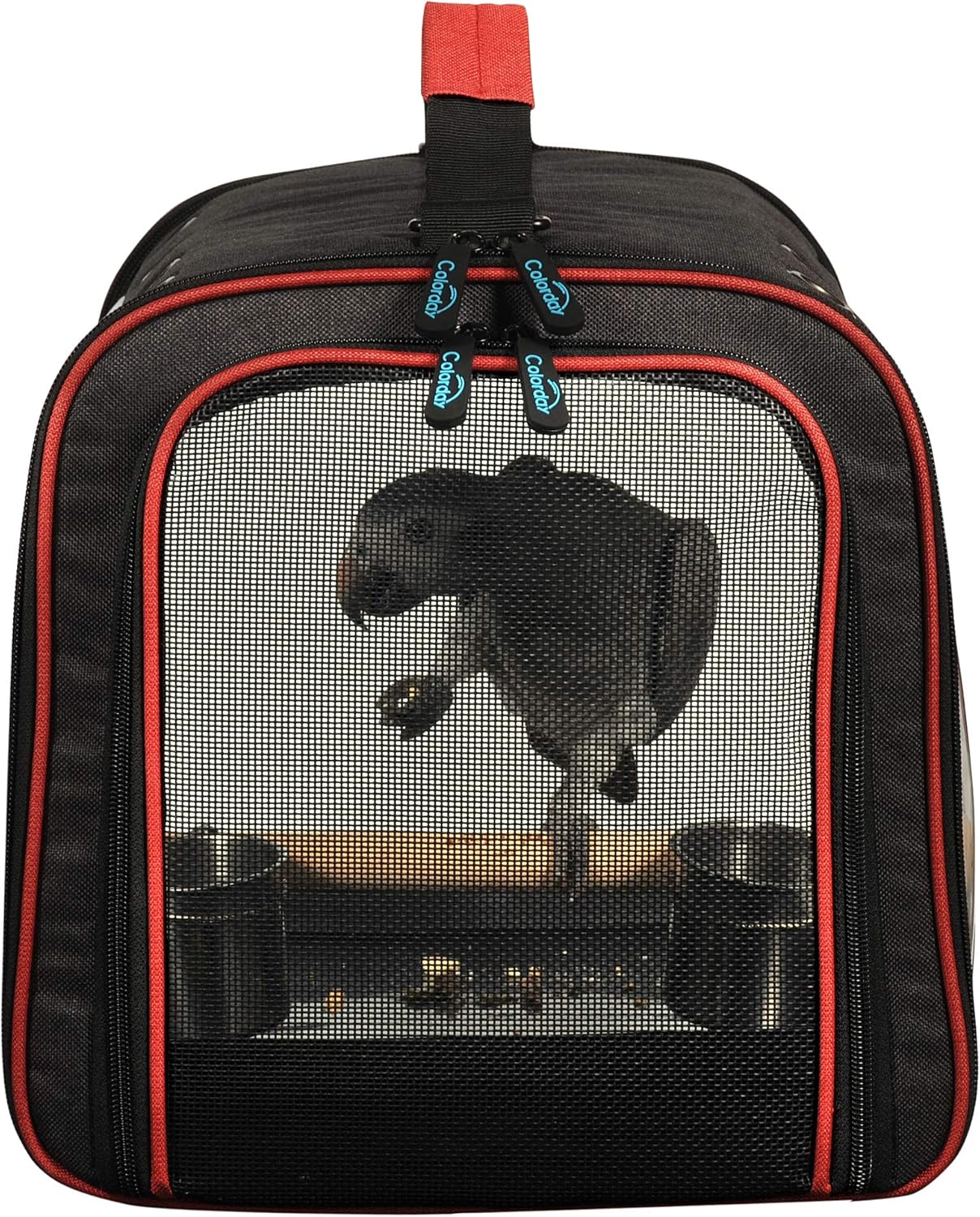 Colorday Lightweight Bird Carrier for Travelers, Bird Travel Cage with Parrot Feeder Cups & Standing Perch and Tracy (Large 19 x 12 x 13 inch, Black)