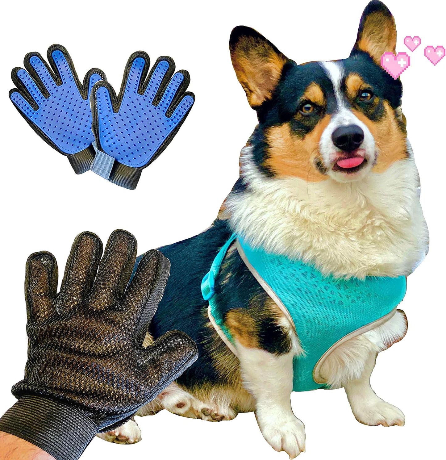 Mitt Mister Pet Grooming Glove