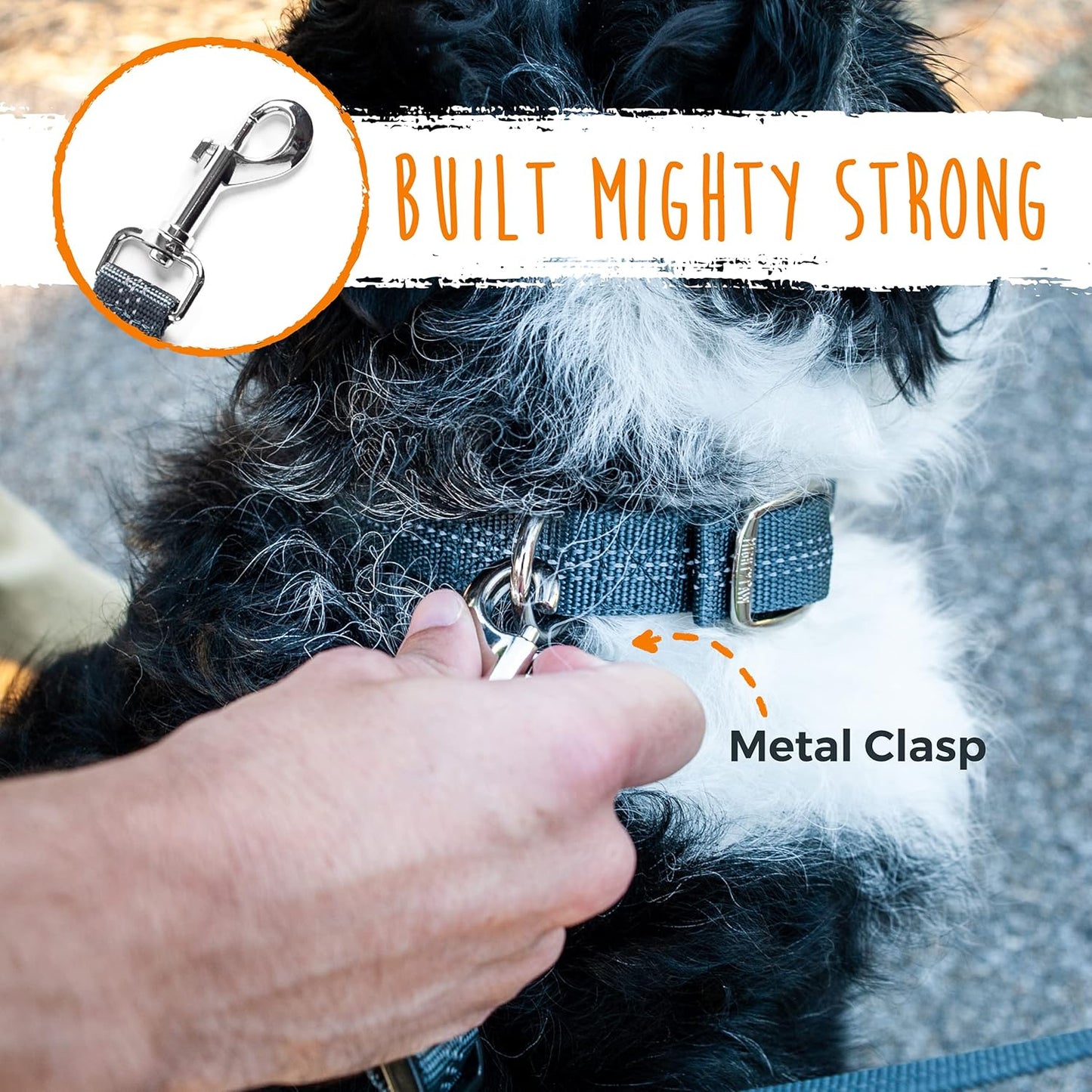 Mighty Paw Double Dog Leash - Double Leash for Two Dogs No Tangle Design. Split Lead for 2 Pets. Adjustable to Fit All Sized Breeds. Reflective Dual Pet Lead for People with 2 Pups