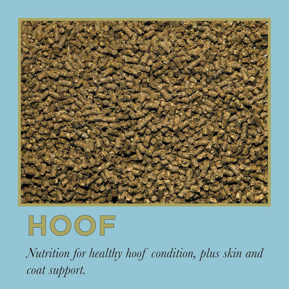 ProElite Hoof, Horse Hoof Supplement, 3 lbs