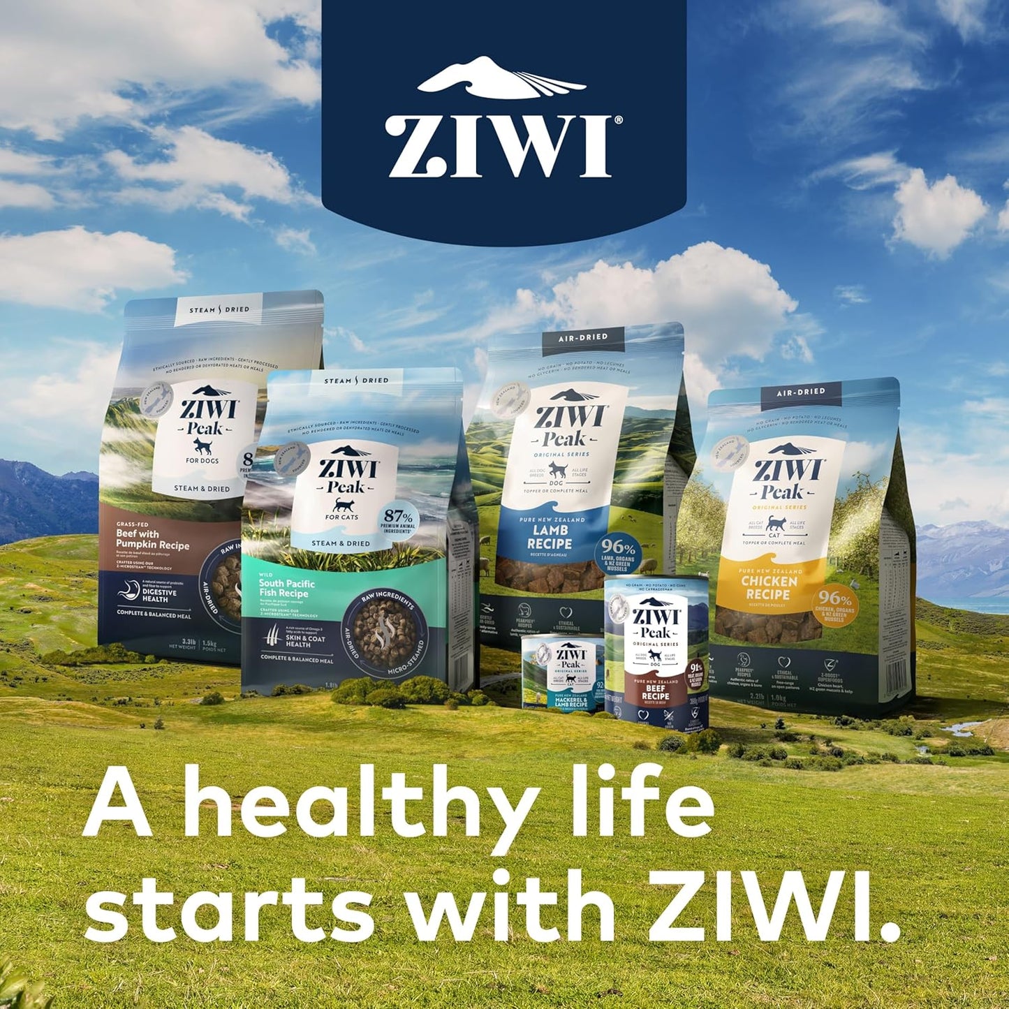 ZIWI Peak Wet Cat Food – All Natural, High Protein, Grain Free, Limited Ingredient, with Superfoods (Mackerel & Lamb, Case of 12, 6.5oz Cans)