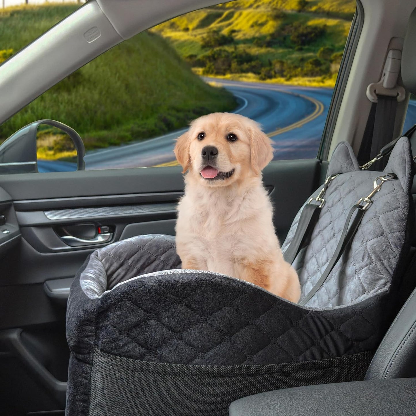 Dog Car Seat for Small Medium Sized Dog, Booster Car Seat with Elevated Memory Foam, Storage Pocket & Safety Belts, Detachable Washable Puppy Carrier Pet Travel Accessories
