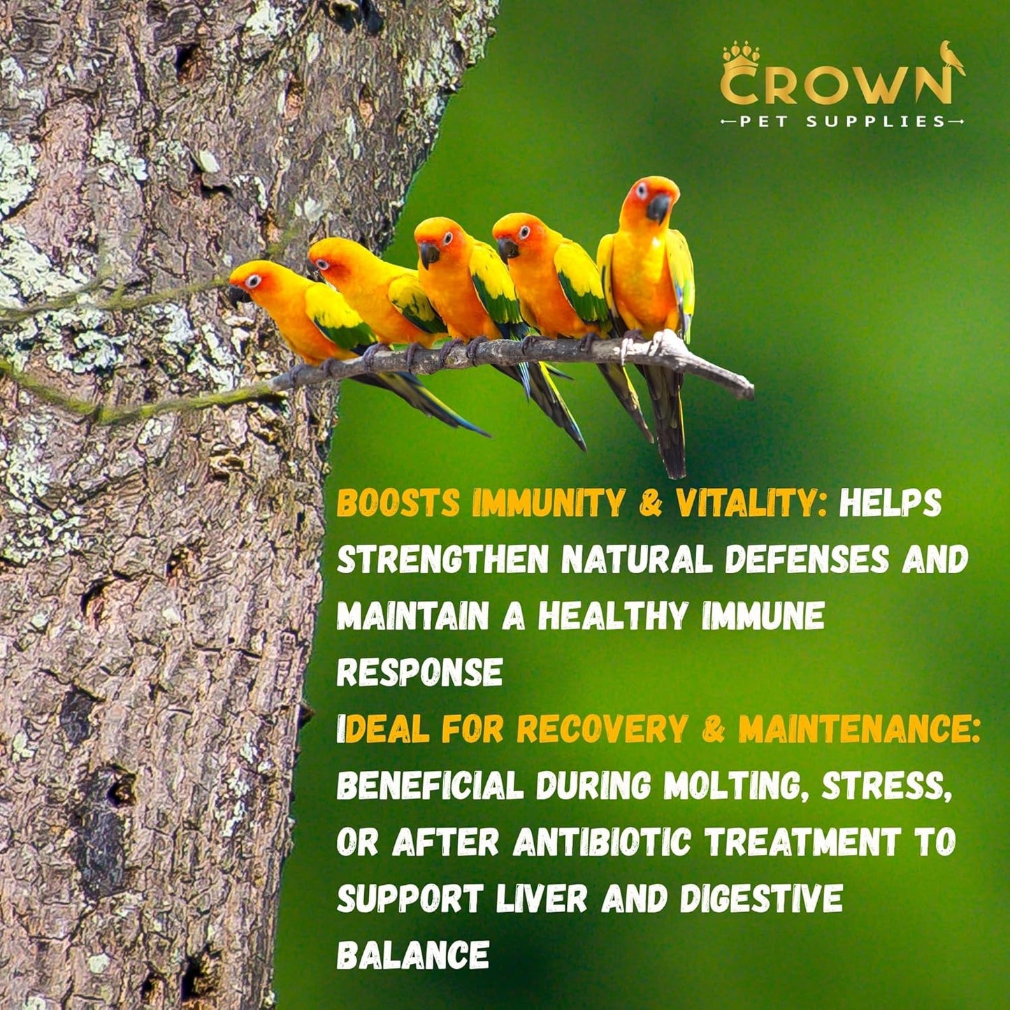 Liver Support Supplement for Birds – 100g Vitamin & Herbal Blend with Milk Thistle, Amino Acids & B Vitamins – Supports Detox, Digestion, Eye Health & Metabolism