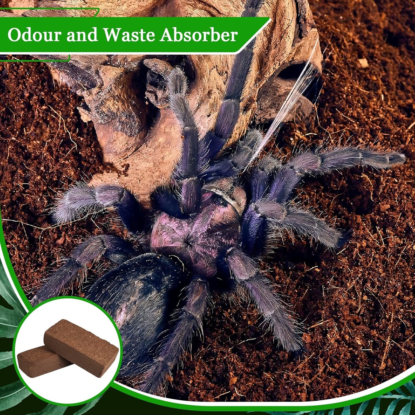 Riare 6 Pack Natural Coconut Fiber Substrate for Reptile- Premium Compressed Coconut Husk Terrarium Bedding for Reptile, Tortoise, Frogs, Snakes Hermit Crabs, Burrowing Animals