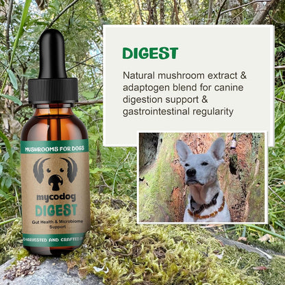 MycoDog Digest - Digestive Support Mushroom Supplement for Dogs - Holistic Gut Support - Adaptogens & Functional Mushrooms for Microbiome Balance, Probiotic Alternative
