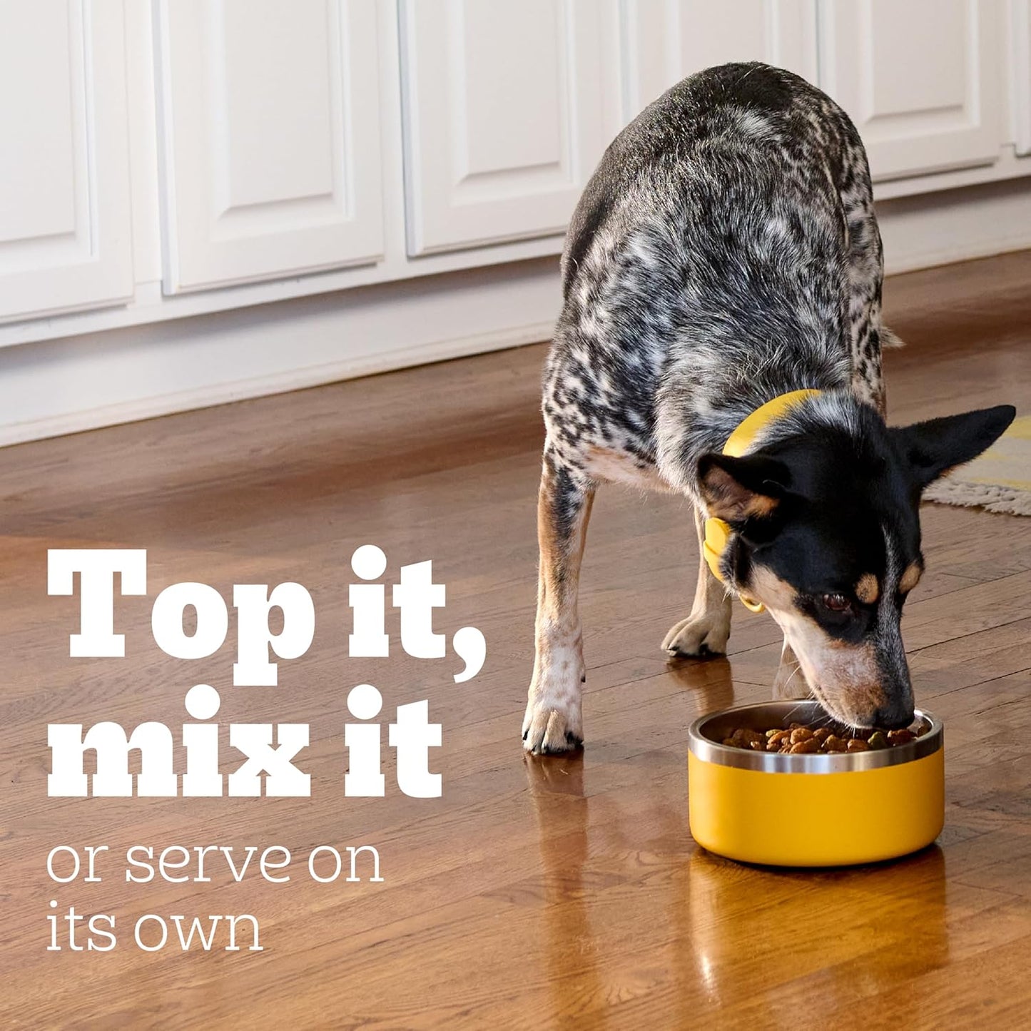 Pedigree Choice Cuts in Gravy Adult Soft Wet Dog Food Variety Pack, 3.5 oz. Pouches, 18 Count