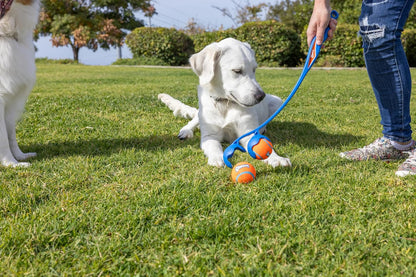 Chuckit! The Duo 22M Double Launcher Dog Toy, 22" Length, Includes 2 Medium Tennis Balls (2.5") Size Medium for Breeds 20-60lbs, Multi-Dog and Pack Play