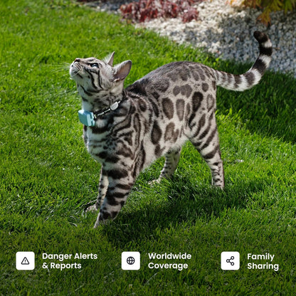 Tractive Smart Cat GPS Tracker | Real-Time Location & Wellness Monitoring for Cats 6.5 lbs+ | Territory & Location History | Up to 5-Day Battery | Breakaway Collar Included (Dark Blue)