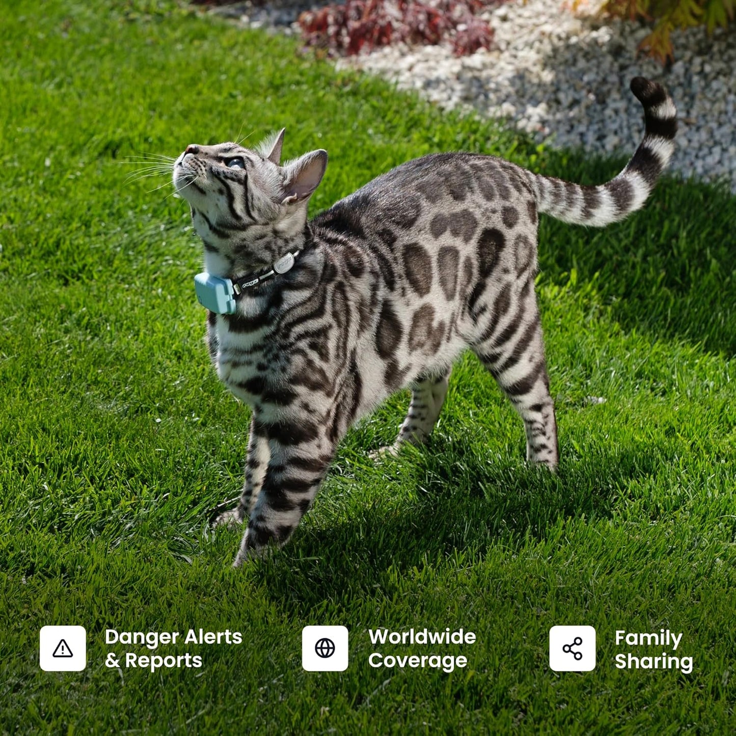 Tractive Smart Cat GPS Tracker | Real-Time Location & Wellness Monitoring for Cats 6.5 lbs+ | Territory & Location History | Up to 5-Day Battery | Breakaway Collar Included (Dark Blue)