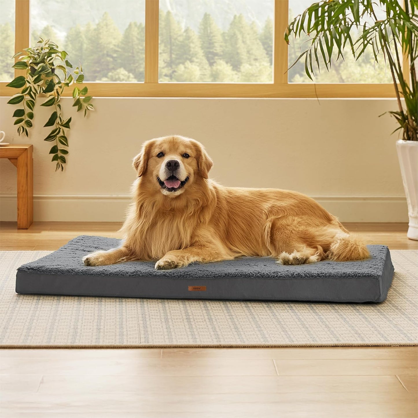 LE SURE XL Washable Dog Bed Cover Replacement Plush Fleece Cover for Orthopedic Egg Crate Foam Pet Mat 44x32x3 Inches, Dark Grey