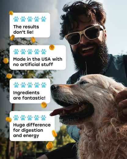 Chewable Dog Probiotics – All-in-One PhD-Endorsed Digestive Enzymes, Prebiotics, Turmeric, Omega-3 & Fiber – Gut, Diarrhea, Itchy Skin & Ear Support – All Ages, Made in USA, 140 Beef Chews
