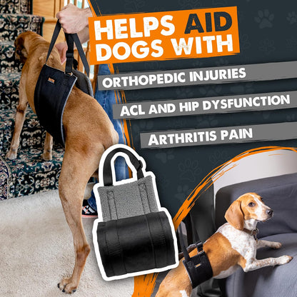 Mighty Paw Dog Lift Harness - 20-60 lbs Dog Hip and Hind Leg Support Sling - Comfortable Assistance for Elderly or Injured Pets with Hip and ACL Brace - Back Support Harness Carrying Sling - Medium