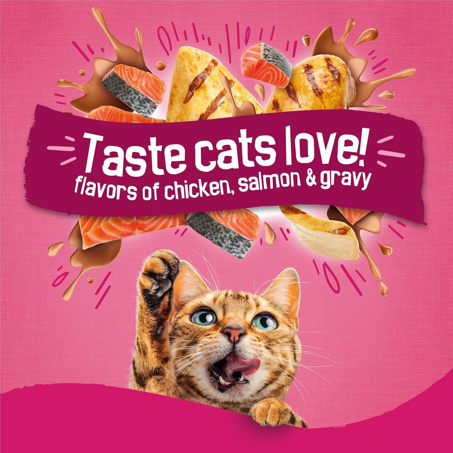 Purina Friskies Gravy Swirlers with Flavors of Chicken, Salmon and Gravy Dry Cat Food - 22 lb. Bag