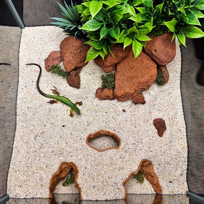 Aquarium Cave Hide for Pleco, Shrimp, Corydoras, and Reptiles, Natural Cave Design Terrarium Decoration