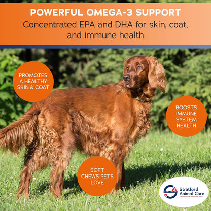 Stratford Pharmaceuticals EZ Chew Omega 3 Fatty Acid Soft Chew Max Strength - Dog Omega 3 Supplement - Soft Chew Treats with Fish Oil for Dogs - Large and Giant Dogs - 150 Soft Chews