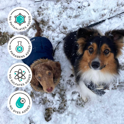 Poo-Pourri Pawsitively Fresh Pocket Deodorizer Spray – Dog & Cat Odor Remover – Plant Based Ingredients – Vet Recommended – Great for Air, Carpet, Fabric, Litter Box, Urine & Strong Pet Odors