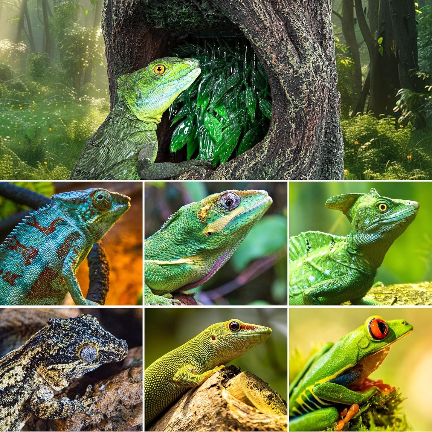 REPTI ZOO Reptile Waterfall Drinking Fountain with Food Dish, 1000ML Large Reptile Terrarium Water Dispenser for Bearded Dragon Chameleon Gecko Lizard Tree Frog