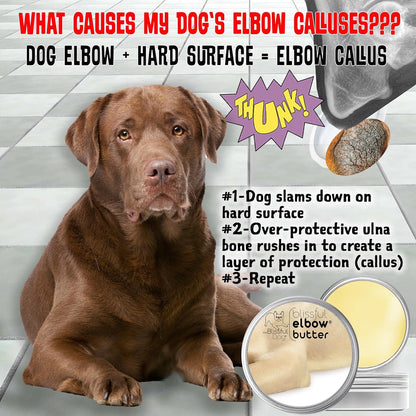 The Blissful Dog Elbow Butter for Dry, Cracked Calluses, Lick-Safe Dog Balm, Soothing Elbow Balm with Moisturizing Shea Butter, Almond, Olive, and Essential Oils, Pet Supplies, 1 oz. Tin