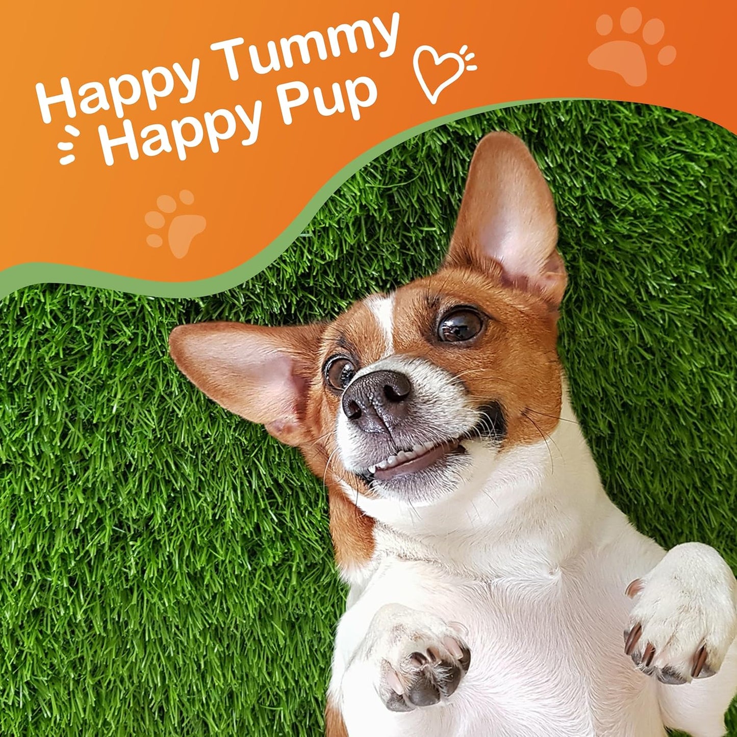 Antidiarrheal for Dogs - Kaolin Pectin Probiotic Paste for Dog, Anti-diarrheal for Cats - Puppy Probiotic Supports Firm Stool, Balances Gut pH, and Promotes Daily Digestive Health - 1 oz