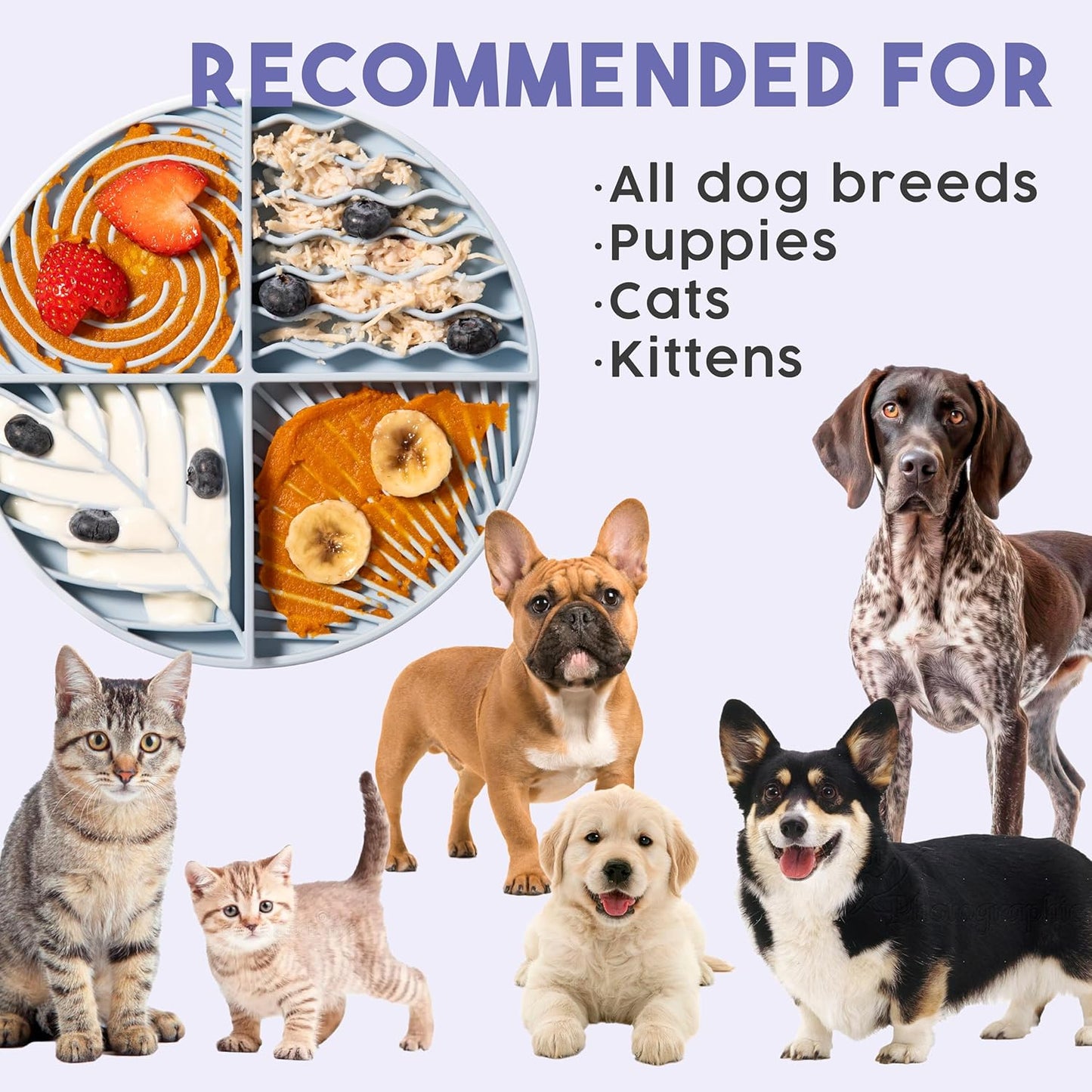 Awoo Paradise - Silicone Dog & Cat Lick Mat and Slow Feeder with Suction Cups - Non-Slip, Dishwasher Safe Pet Dish - Extends Mealtime for Fast Eaters and Reduces Anxiety - For Wet & Dry Food (Fuschia)