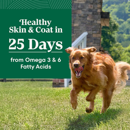 Nutro Natural Choice Adult Large Breed Dog Food Dry, Chicken & Brown Rice Recipe, 36 lb. Bag